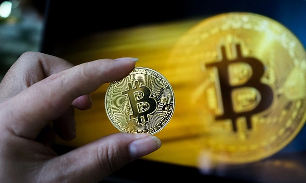 Học đầu tư coin