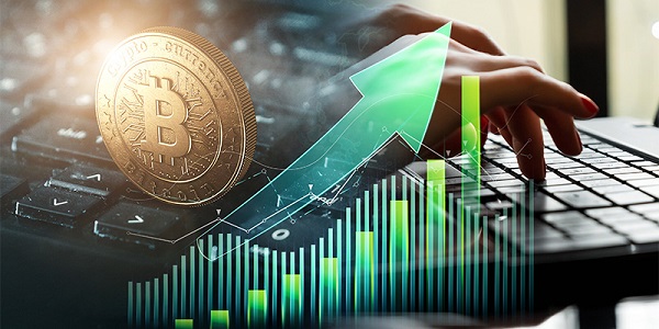 Học đầu tư coin