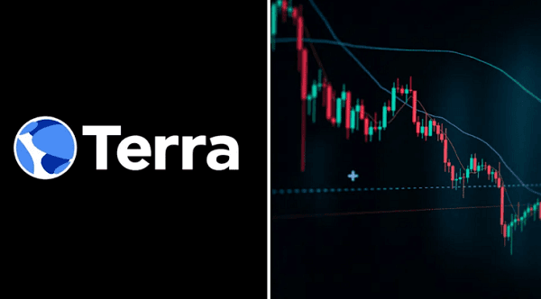 Luna coin có phục hồi được không? Góc nhìn chuyên gia & dự đoán tương lai 2 Luna coin có phục hồi được không