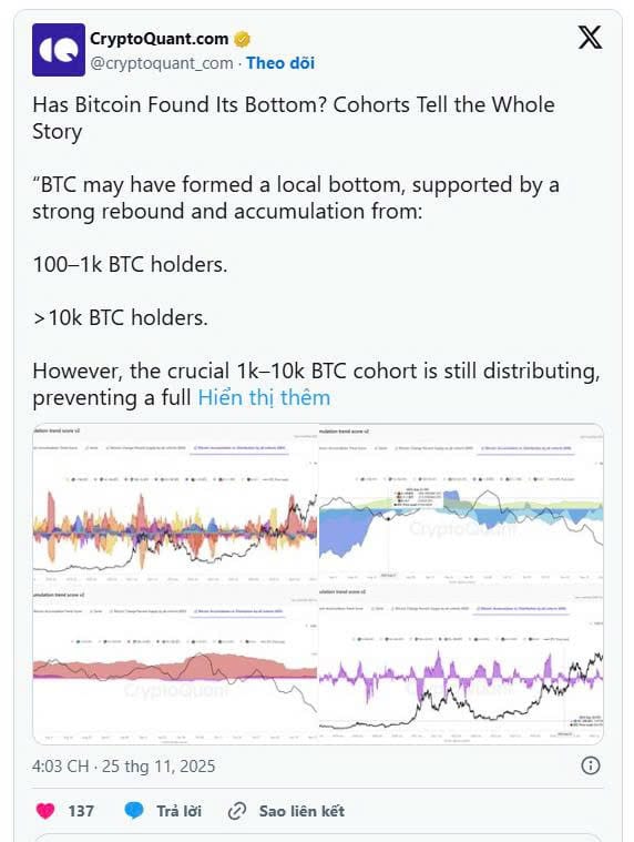 CryptoQuant cho biết giá Bitcoin vẫn còn điều chỉnh