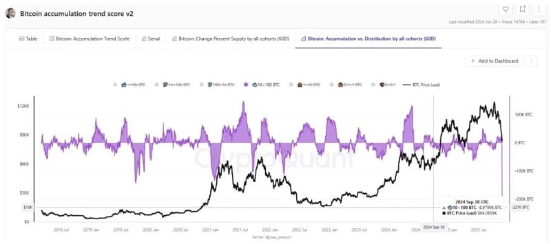 CryptoQuant cho biết giá Bitcoin vẫn còn điều chỉnh